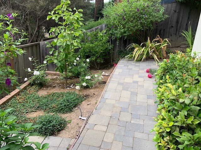 North walkway - 6415 Snake Rd