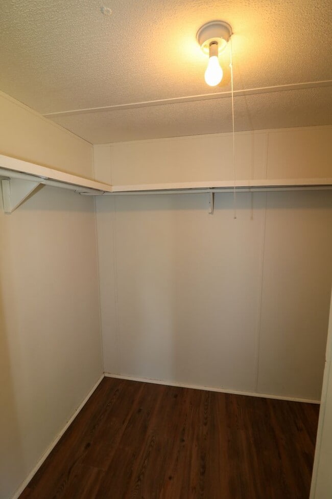 Building Photo - Newly Renovated Home