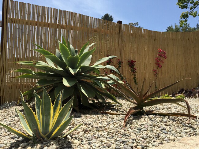 Building Photo - 2449 Corralitas Dr