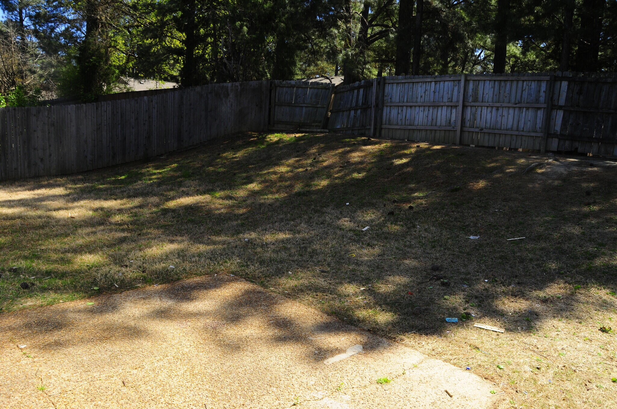 Backyard - 6899 Lagrange Cir S