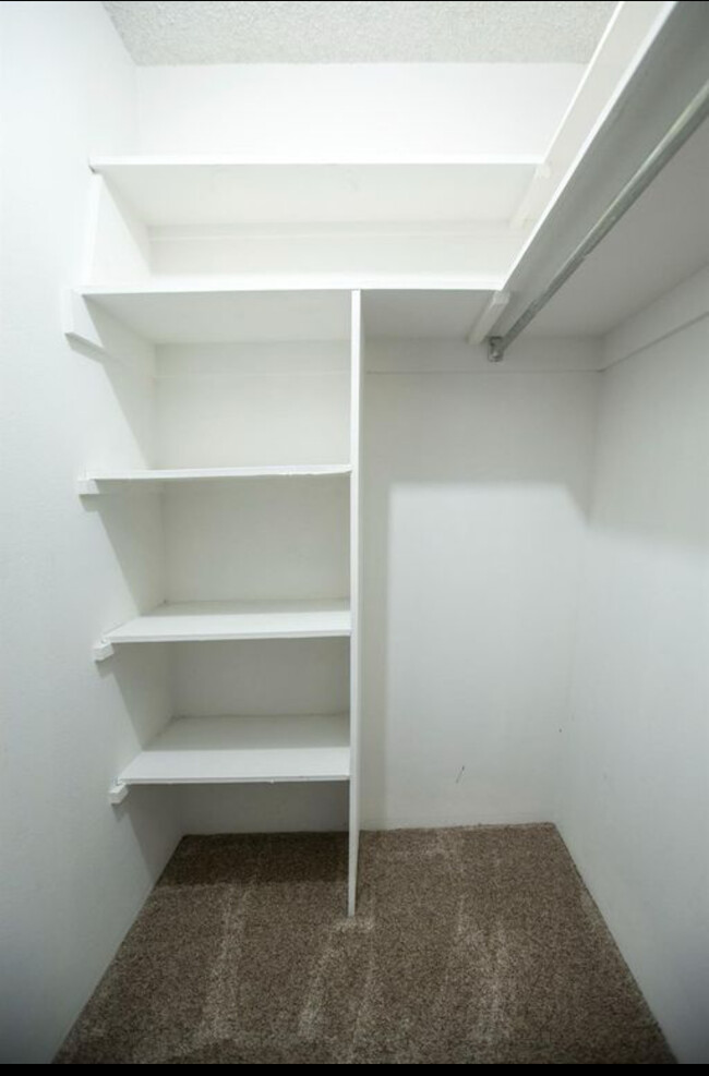 Walk in closet with builtins - 700 Woodside Ln E