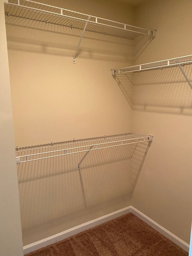 Building Photo - Spacious Townhouse duplex in Northeast Col...