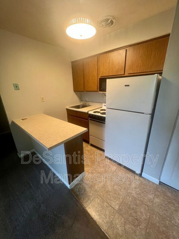 Building Photo - 215 Lunar Ln