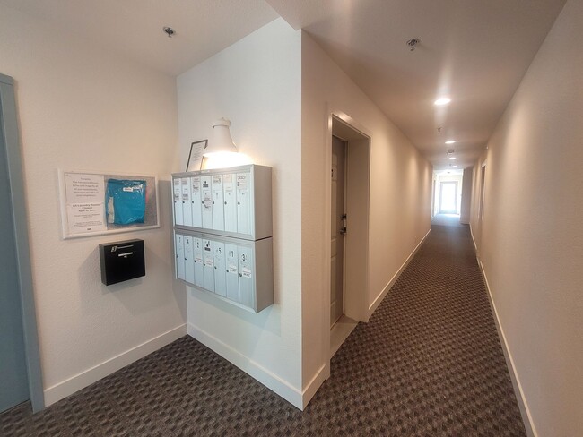 Building Photo - Spacious and Updated 1 Bedroom - H street 2C