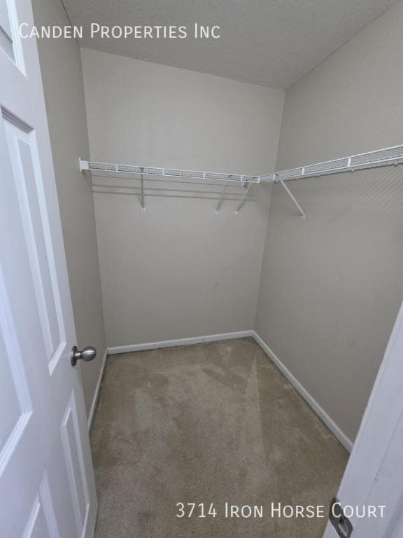 Building Photo - 3714 Iron Horse Court