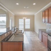 Building Photo - 1103 Rhodactis Dr