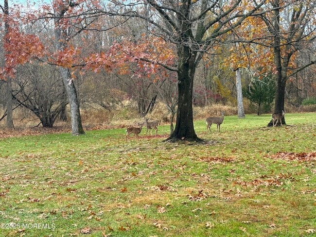 Building Photo - 61 Lenape Trail