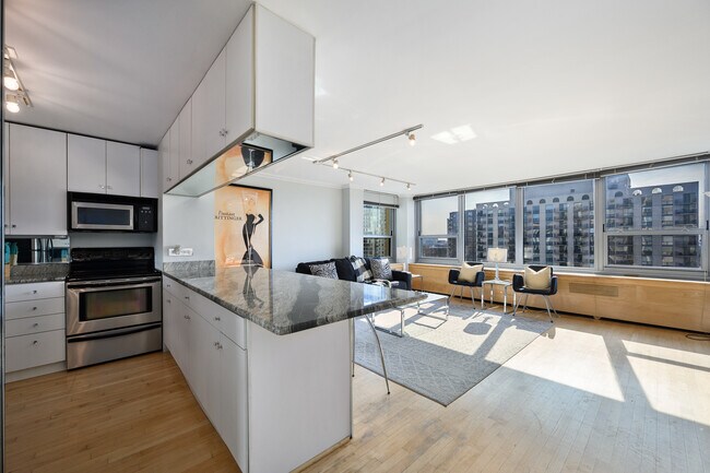 Building Photo - 1255 N Sandburg Terrace