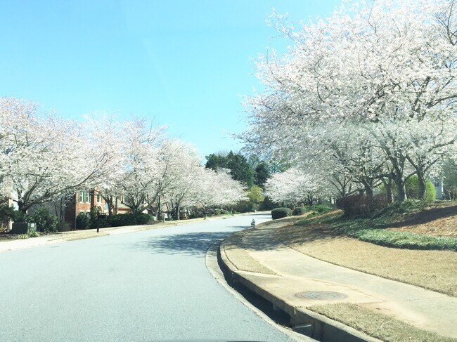 Building Photo - 10920 Donamere Dr