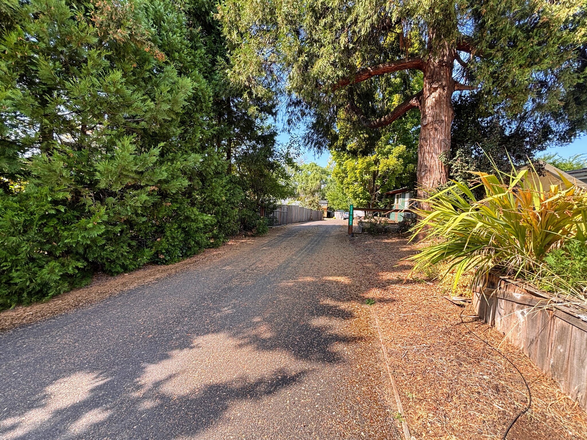 Driveway to house - 1768 S Dogwood St
