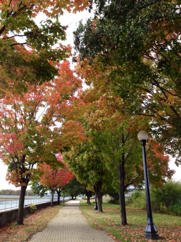 Building Photo - 11 Linwood St