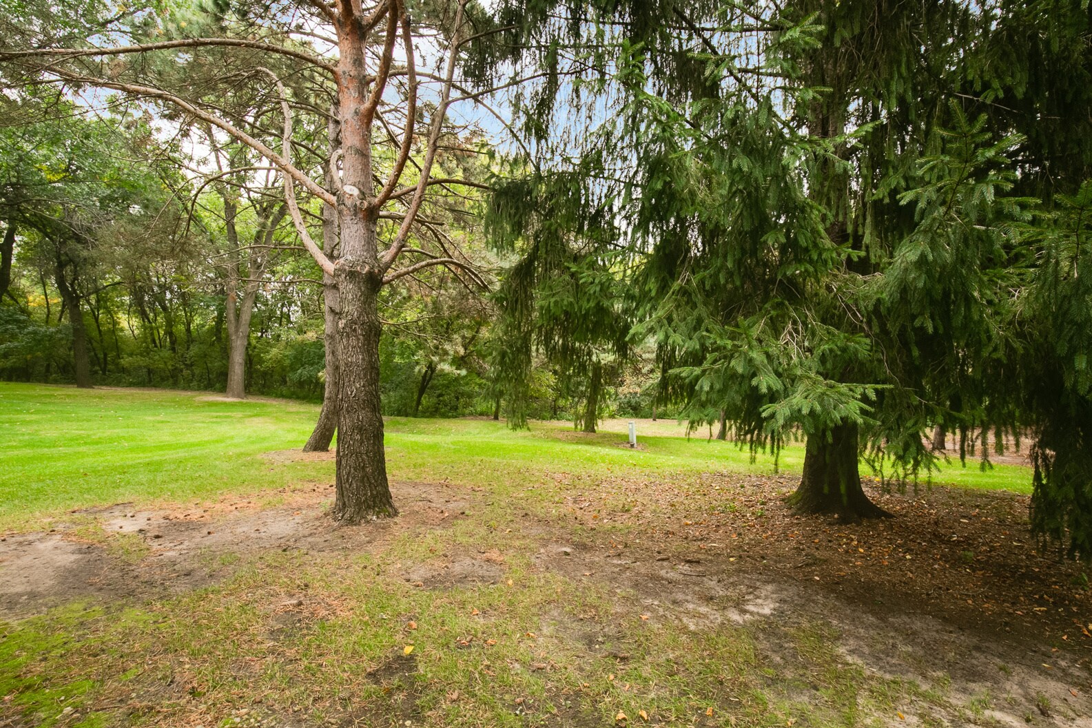 Building Photo - 12115 Drake St NW