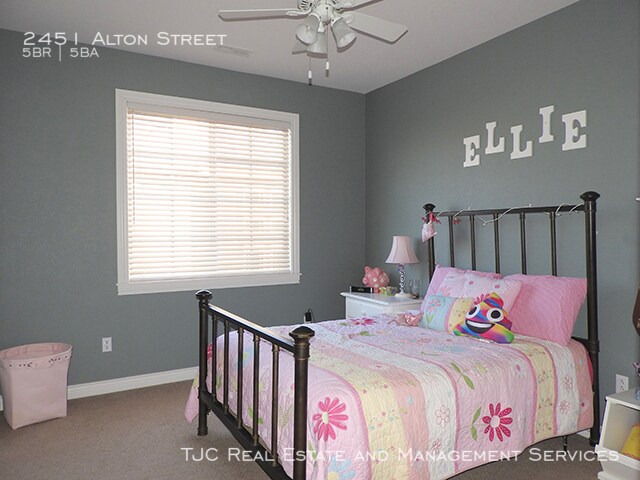 Building Photo - Stapleton Home for Rent! Custom Basement!