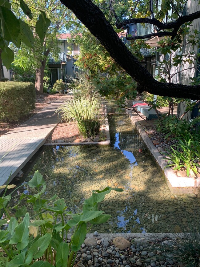 Courtyard ponds - 1036 Oak Grove Rd