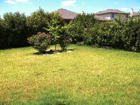 Building Photo - 6205 Charlotte Ln
