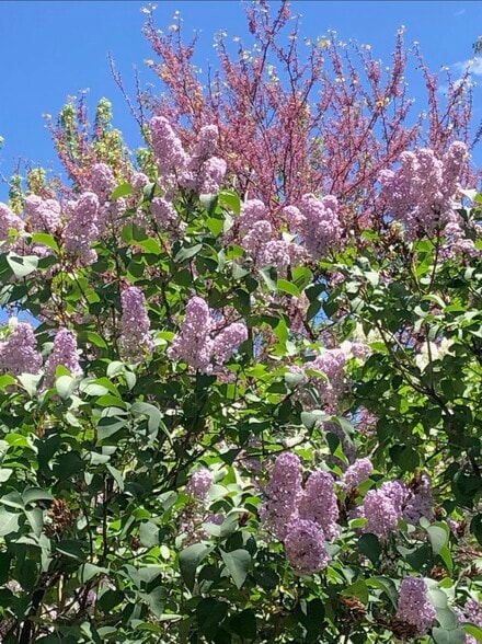 Building Photo - 2934 S Zurich Ct