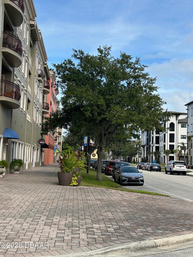 Building Photo - 3043 Meleto Blvd