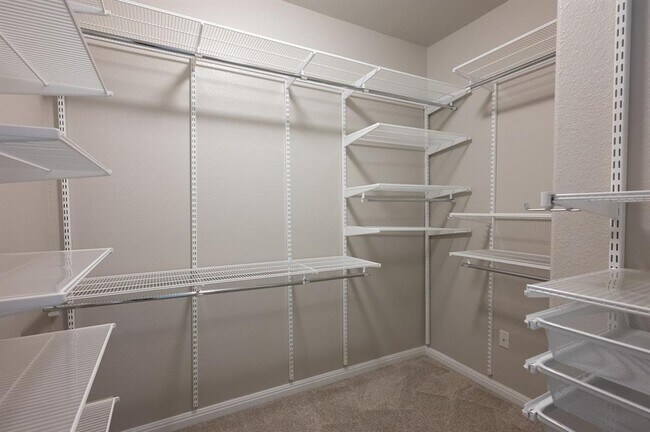 Building Photo - 415 Epiphany Ln