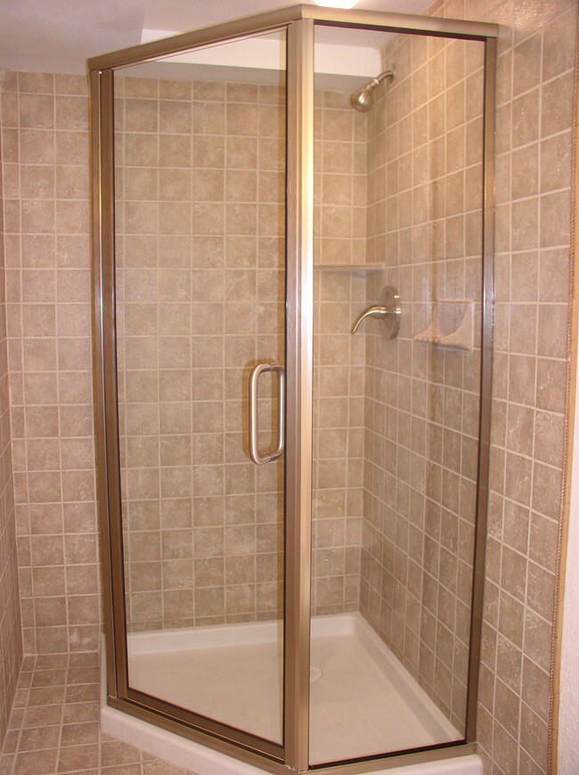 downstairs shower - 254 Greenway Cir W