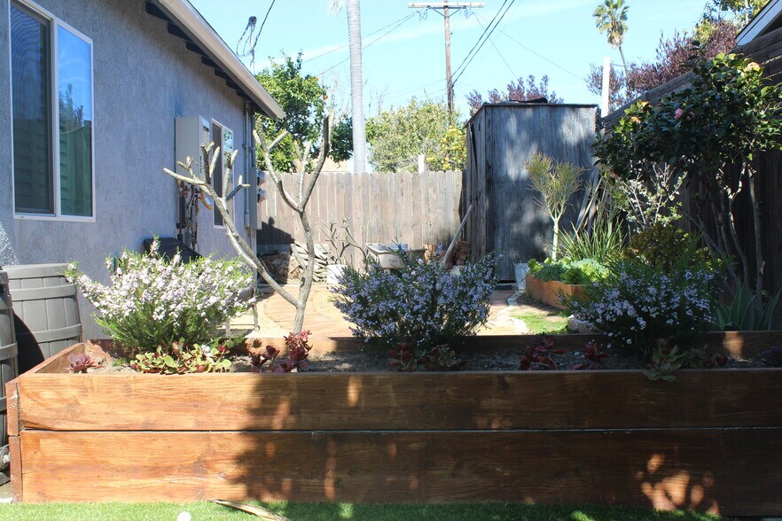 Backyard - 8864 Earhart Ave