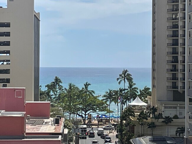 Primary Photo - 2440 Kuhio Ave