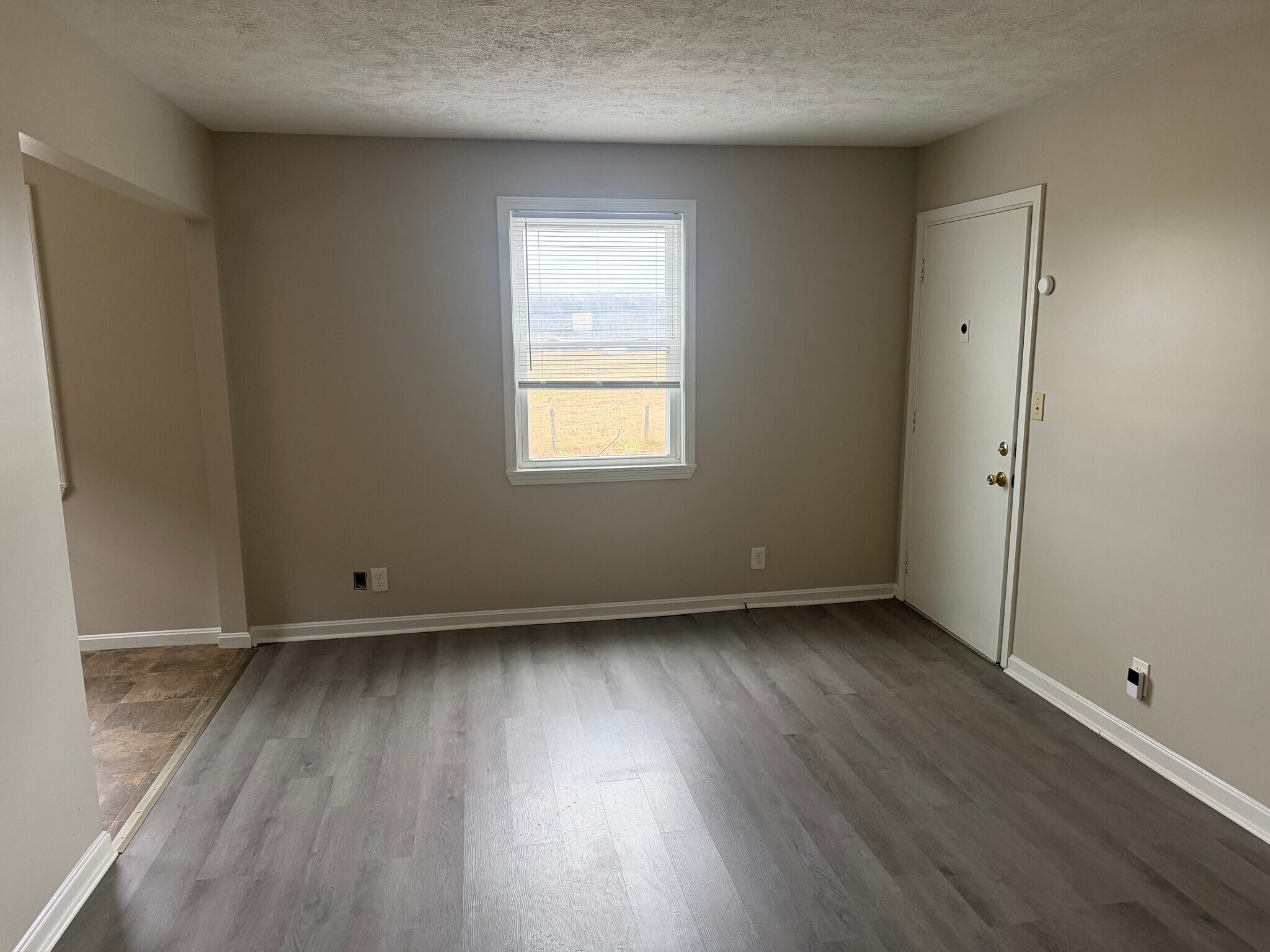 Front Room - 1515 Steadmantown Ln