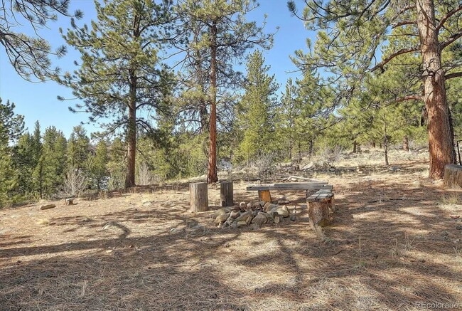 Building Photo - Mountain Log Home for Rent with views and ...