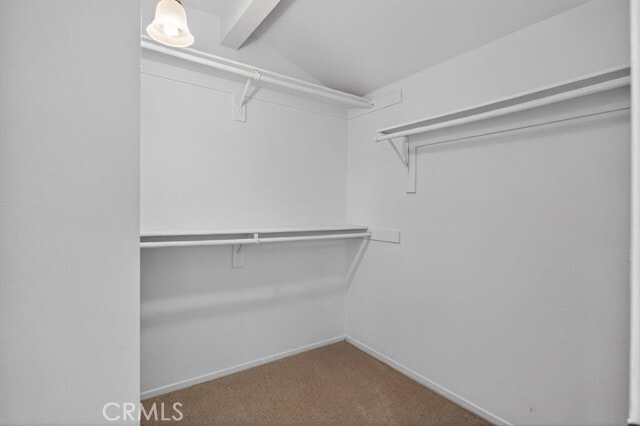 Building Photo - 14 Cll Alimar