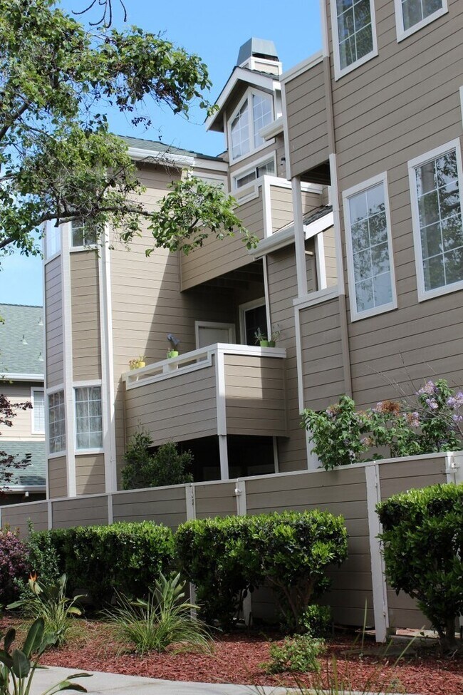 Building Photo - Belmont Hills Sanctuary: 3 En-Suite Suites Behind Oracle & Farallon Park