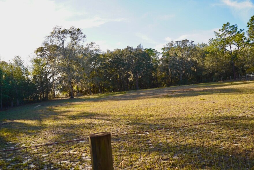 Building Photo - 29205 Saddle Oaks Ln