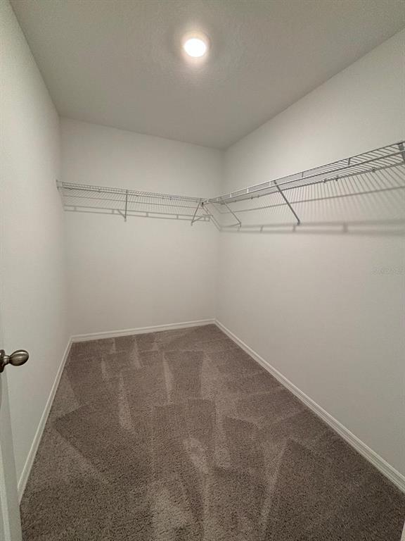 Building Photo - 177 Mandovi St