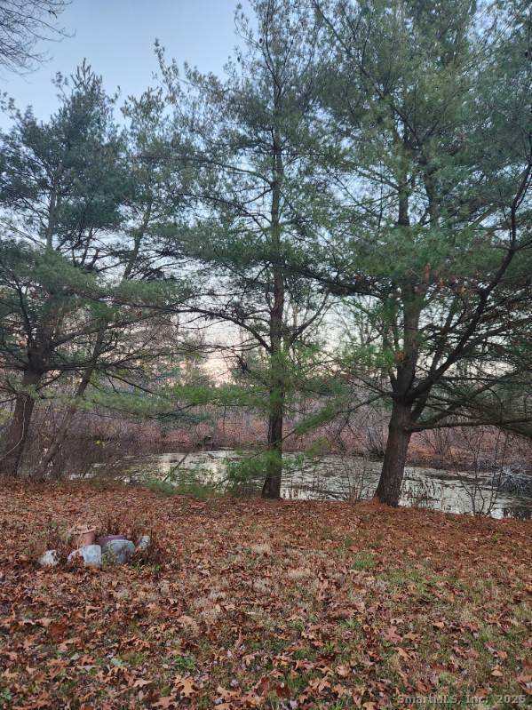 Building Photo - 205 Camp St