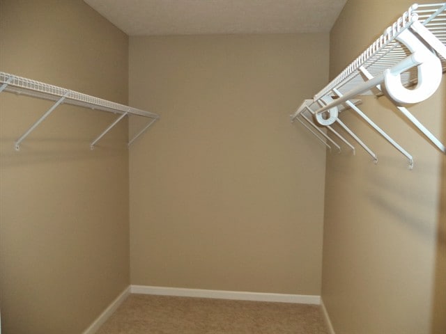 Building Photo - 3710 Eagles Vista Ln