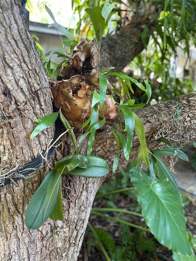 Building Photo - 2842 Coconut Ave