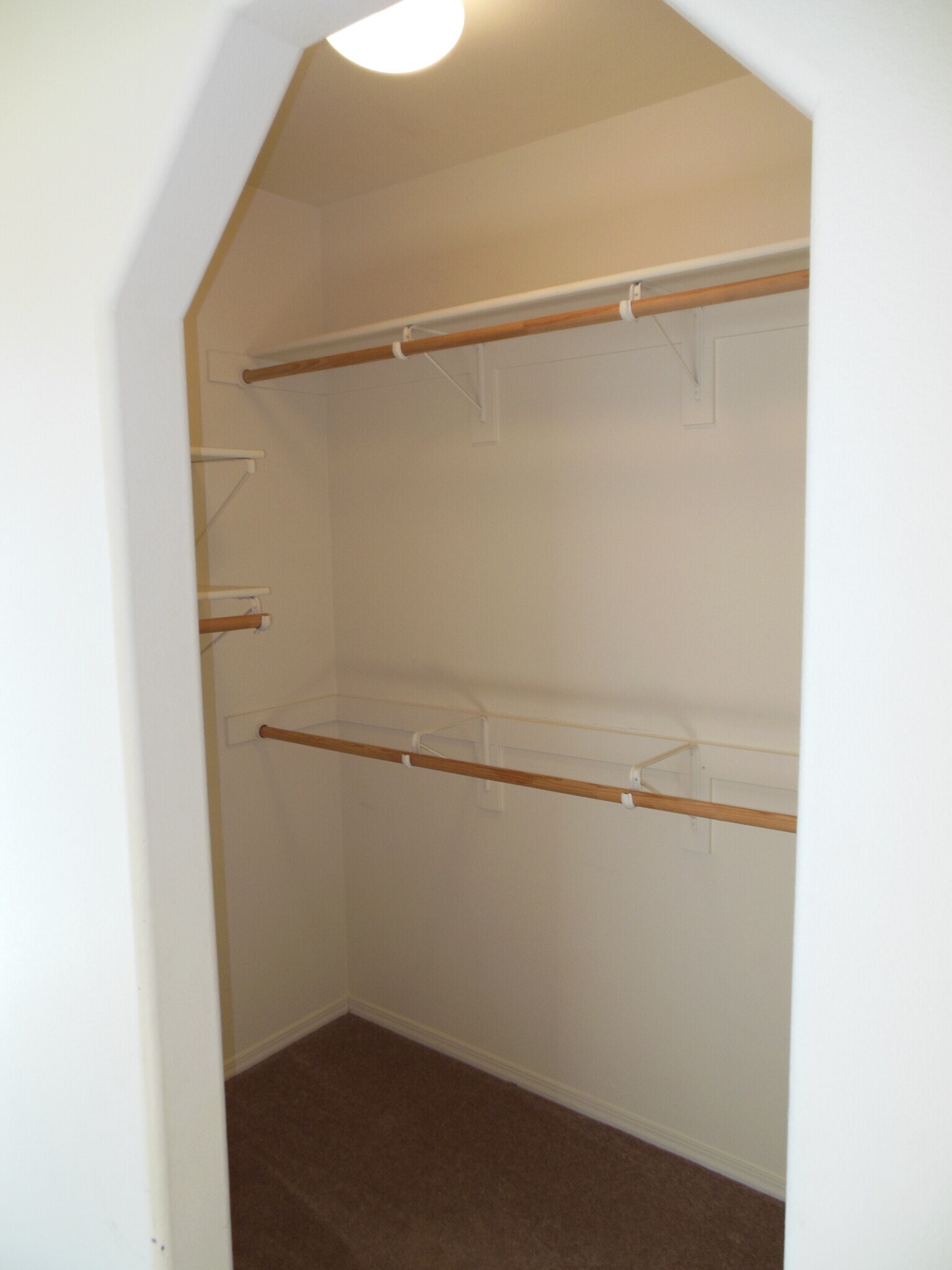Building Photo - 1100 Goeglein Gulch #149