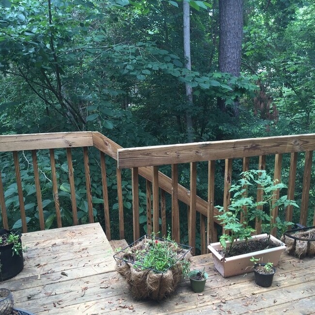 Building Photo - 104 Cedarwood Ln