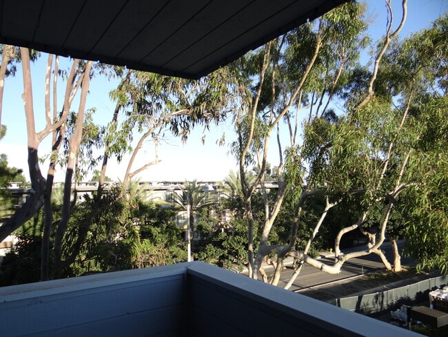 View from Master Bedroom - 310 Tahiti Way