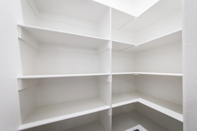 Building Photo - 17304 Hollow Pine Dr