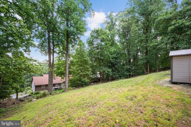 Building Photo - 131 Salt Lick Rd