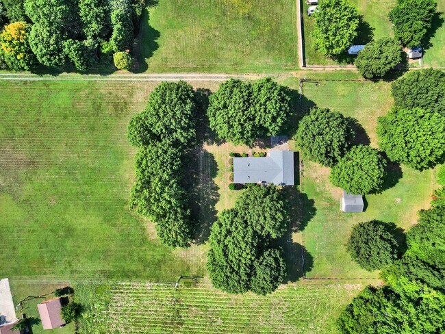 Building Photo - Lovely 3 Bed 2 Bath Ranch Home on Large Lot!