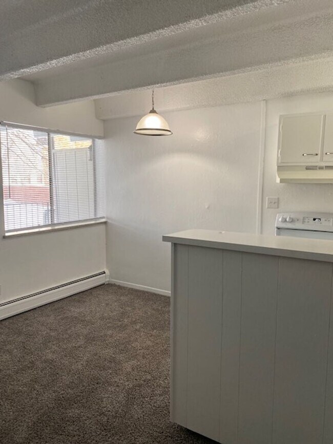 Building Photo - Newly remodeled 1-bedroom apartment near DU
