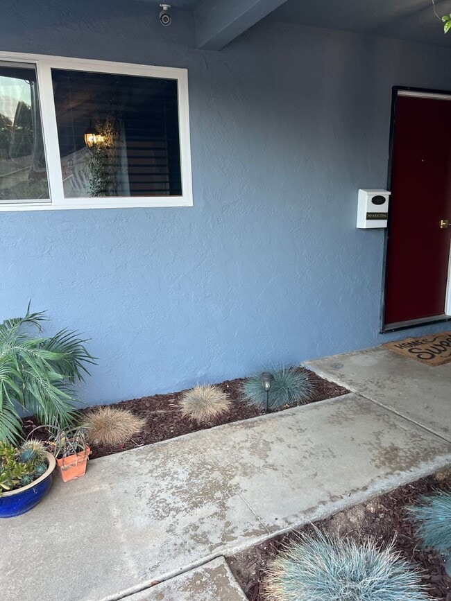 Building Photo - Rare Find!!!  Incredible 4  bedroom / 2 bath updated house in beautiful Clairemont!!!