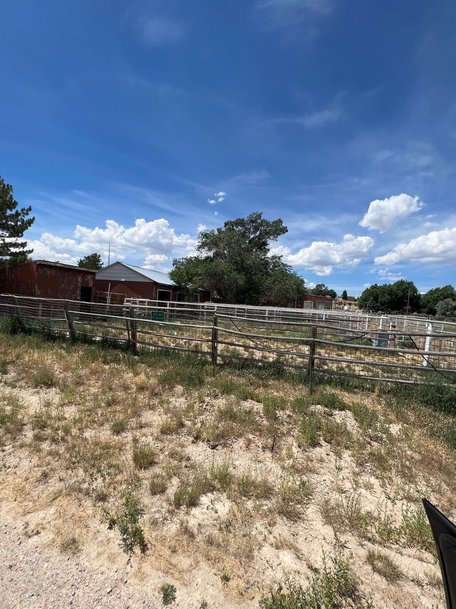 Building Photo - 237 Grant Ave