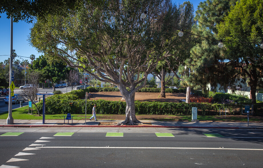 Park across the street - 201 Pacific St