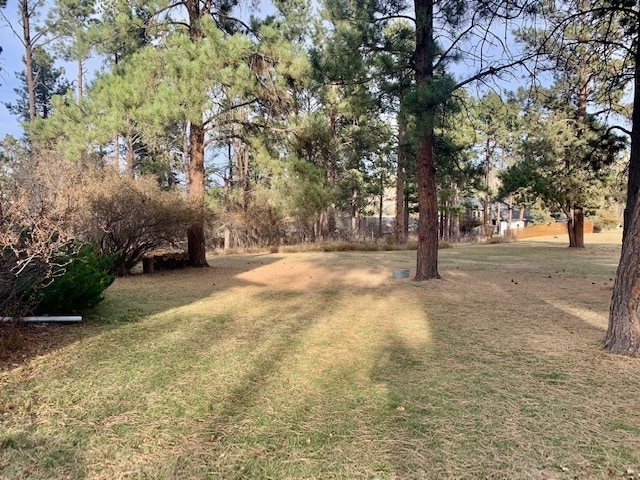 Building Photo - 213 N Berry Pine Rd