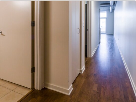Hallway (Unit 1704) - 700 N Larrabee St