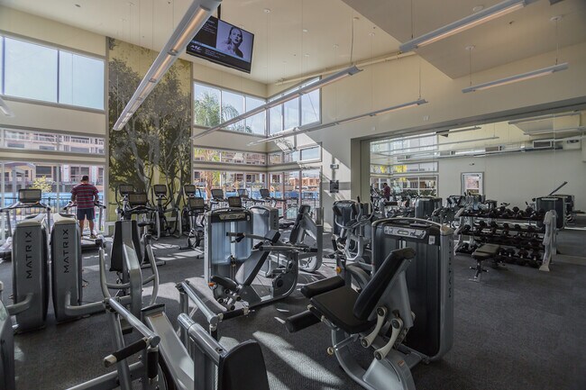 Avenue One Gym - 856 White Moonstone Loop