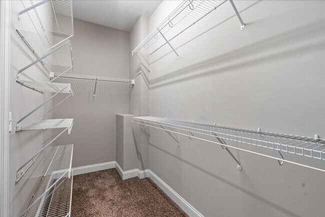 Building Photo - Move-In Ready Luxury in Island Point Estates