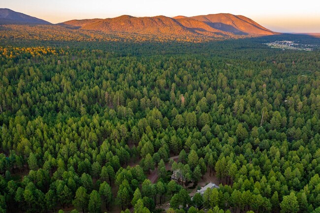 Building Photo - 4955 Hidden Hollow Rd