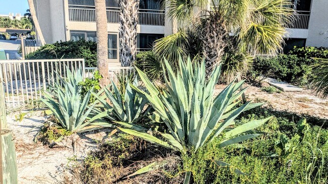 Building Photo - 2 BED 1 BATH CONDO ON SIESTA KEY **ALL UTILITIES/WIFI INCLUDED**